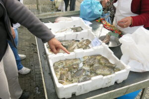 Wild Seafood at Viareggio Pier, Italy