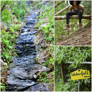 Waterfall Hike at Wild Spirit Backpackers (Garden Route)