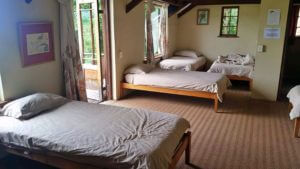 Dove Room at Wild Spirit Backpackers