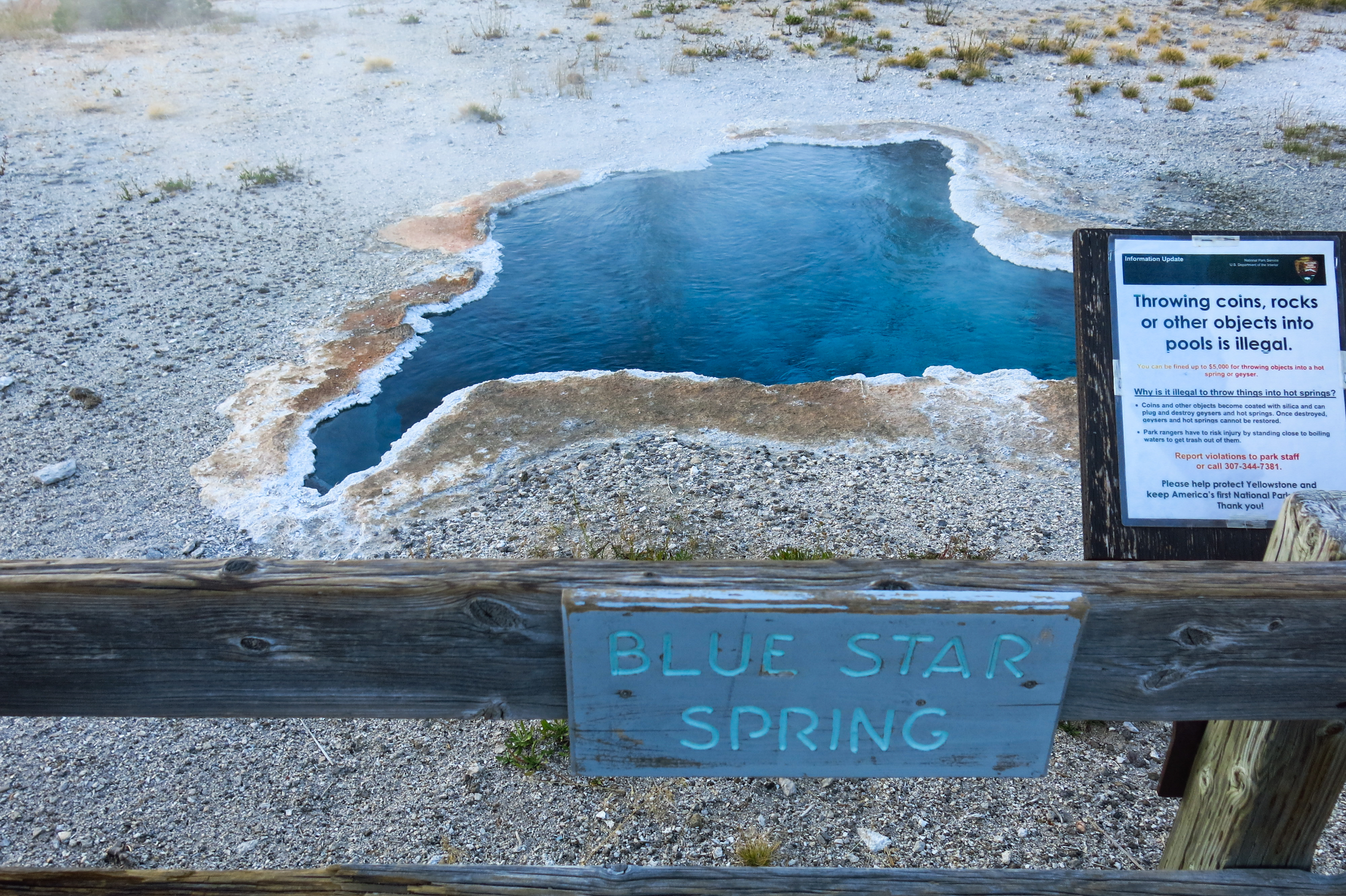 Blue Star Spring, Old Faithful Geyser loop