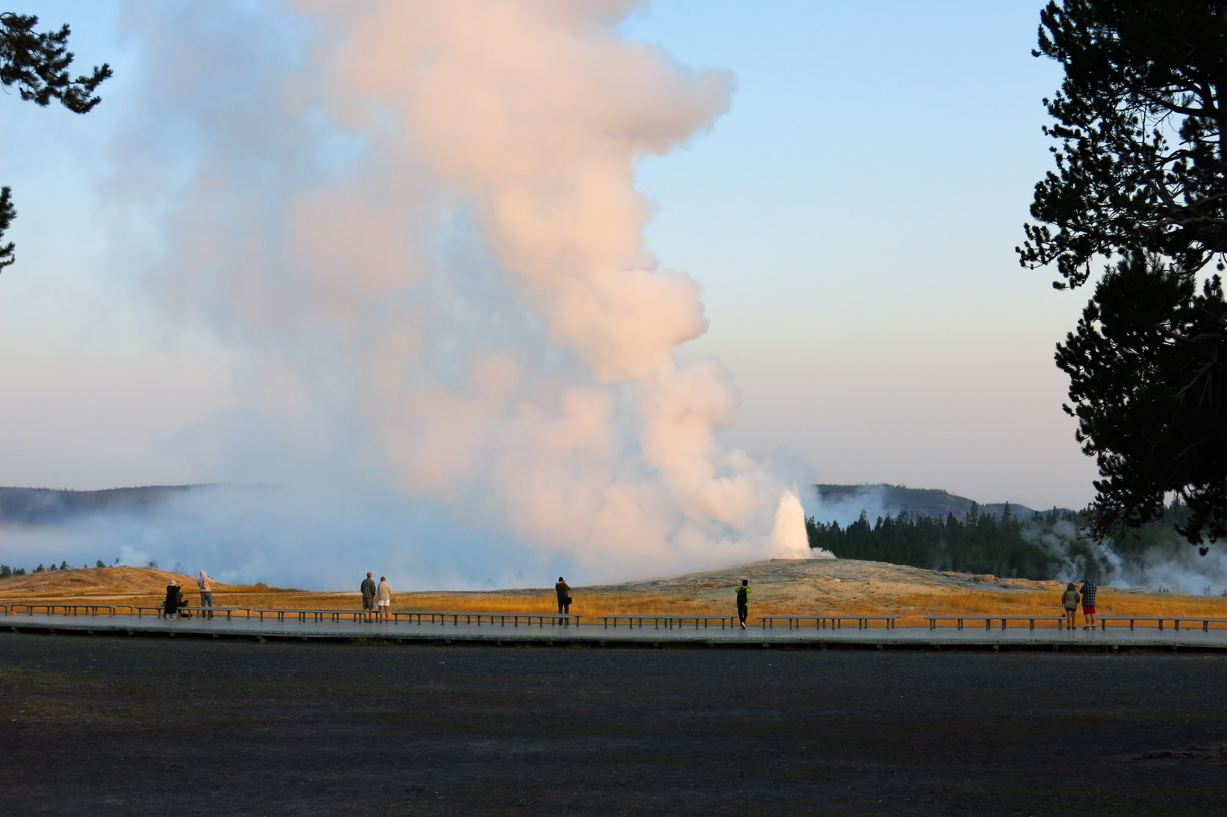 Old Faithful erupts in the morning